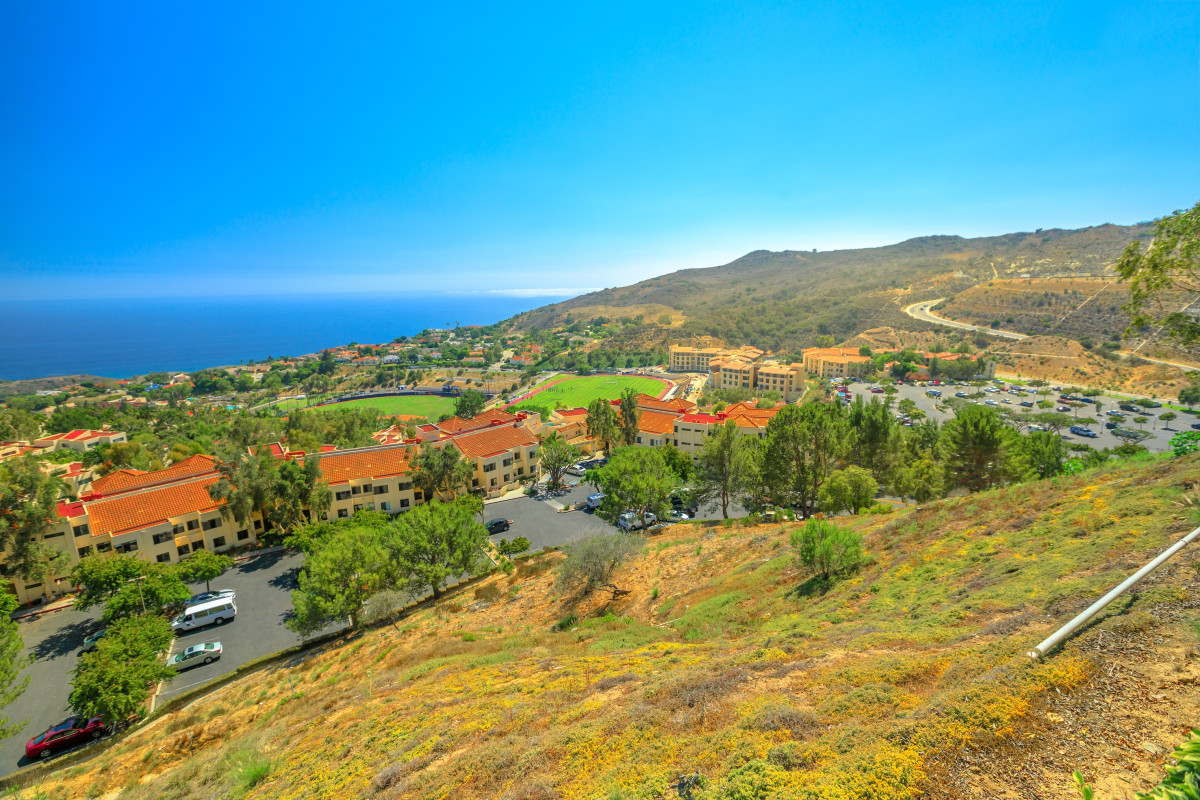 Los Angeles - photo 2