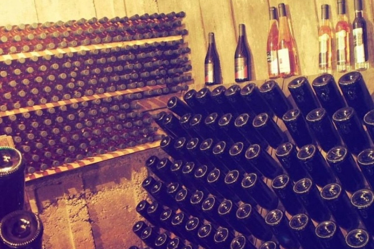 Montréal - photo 12