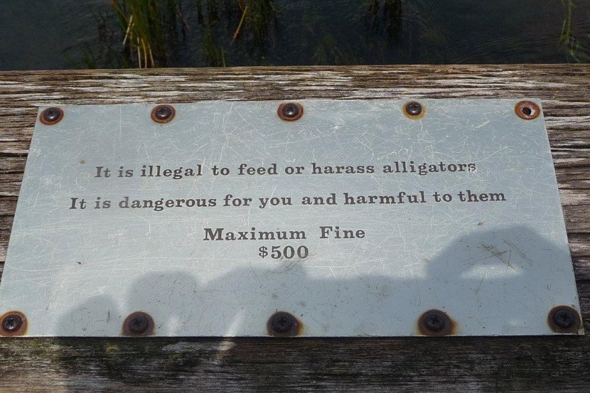 Fort Lauderdale - photo 12