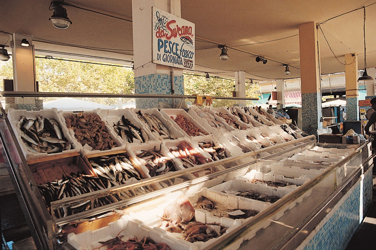 Viareggio - photo 10