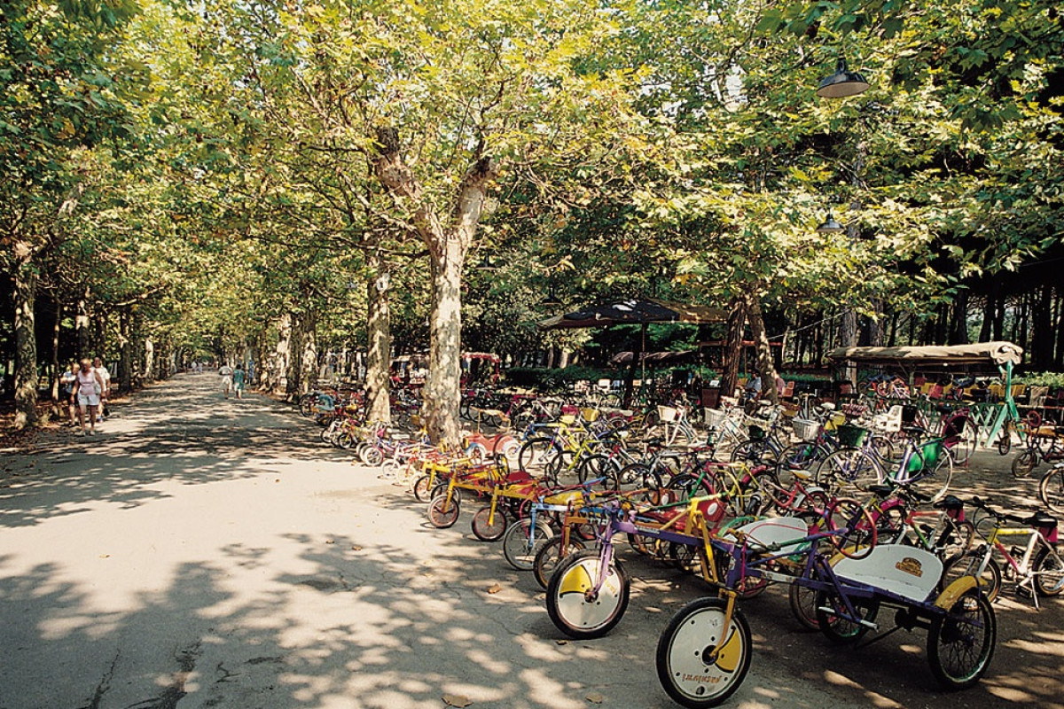 Viareggio - photo 11