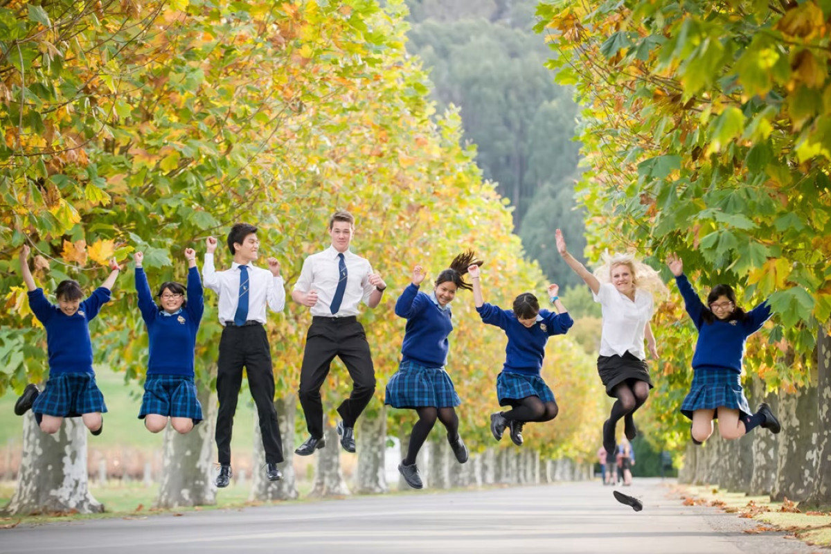 Nouvelle-Zélande - photo 9