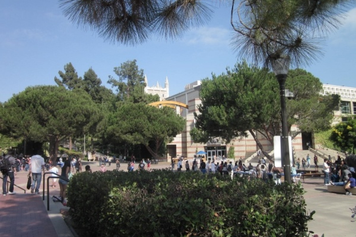 Los Angeles - photo 1