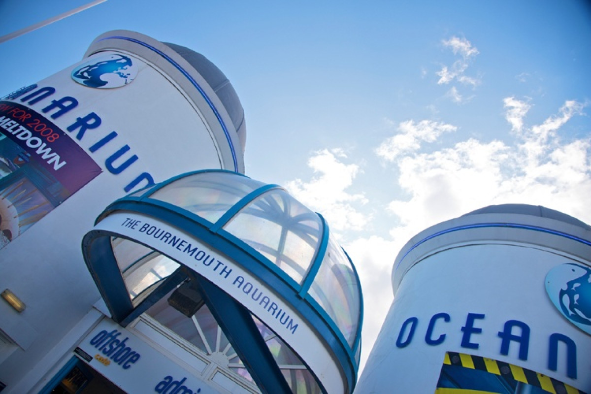 Bournemouth - photo 8