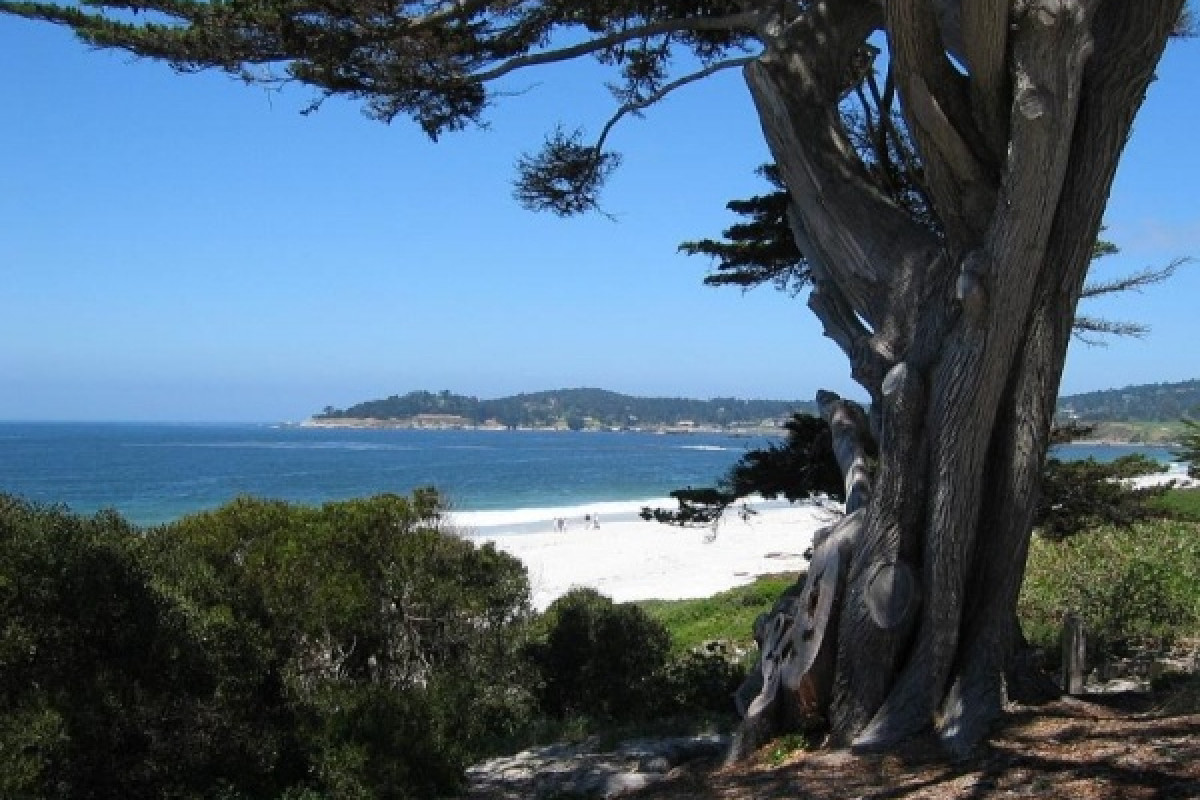 San Francisco - photo 10